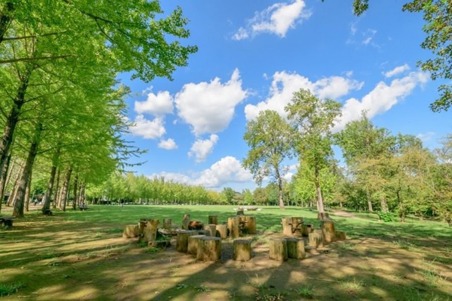 🌳 과학 만국 박람회 기념 공원(카가쿠 반파쿠 키넨 코엔) 이미지 4